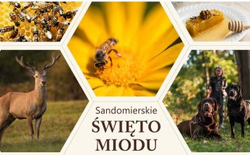 SANDOMIERSKIE ŚWIETO MIODU i DZICZYZNY 26.07.2026r